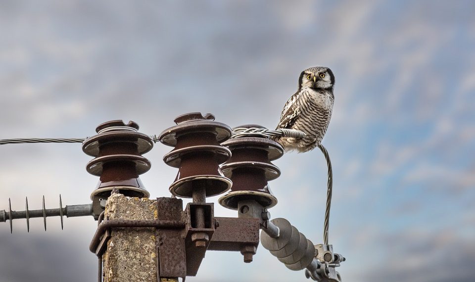 הכוח של אימיילים עסקיים מקצועיים