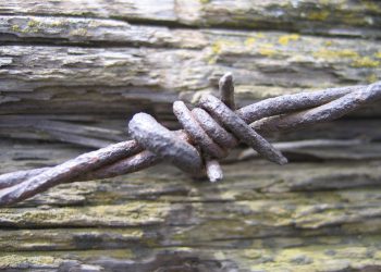 שנה את העסק שלך עם Gmail: טיפים וטריקים להצלחה