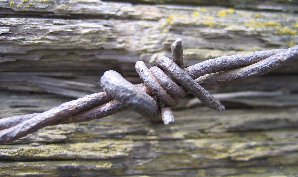 שנה את העסק שלך עם Gmail: טיפים וטריקים להצלחה