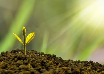 המדריך המלא לבחירת מחשבים לעסקים: מה אתה צריך לדעת?