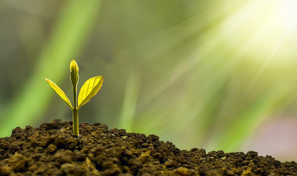 המדריך המלא לבחירת מחשבים לעסקים: מה אתה צריך לדעת?