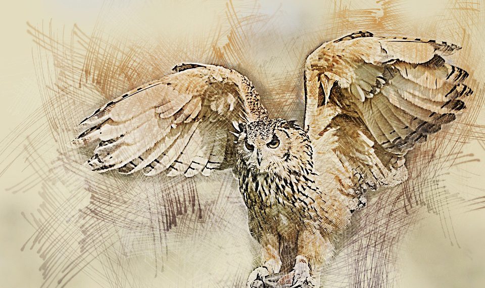 הפק את המרב מהשילובים והתוספים העסקיים של Gmail