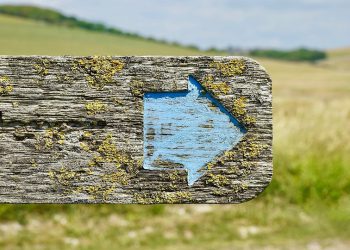 שפר את היעילות במקום העבודה עם Gmail for Business