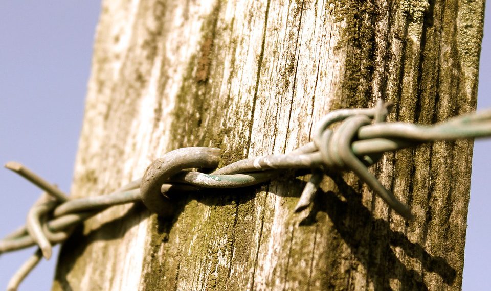 מקסום היעילות: כיצד עסקים יכולים לנצל את Gmail להצלחה