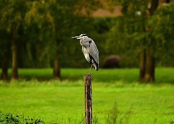 מדוע Gmail for Business הוא הכלי האולטימטיבי ליזמים