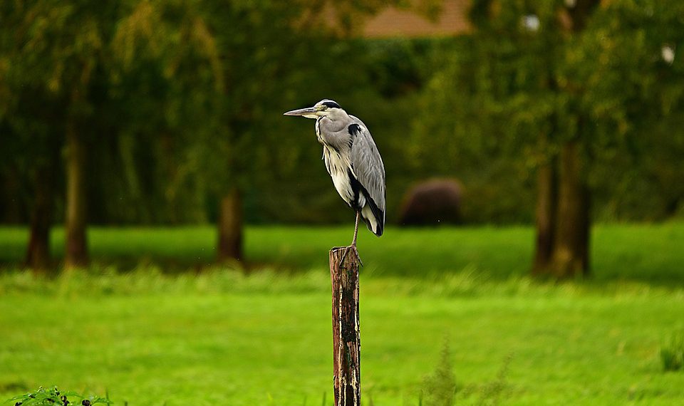 מדוע Gmail for Business הוא הכלי האולטימטיבי ליזמים