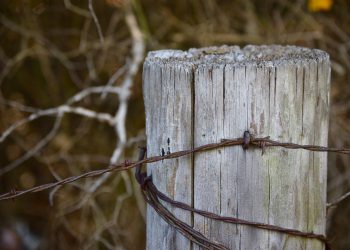 כיצד Gmail for Work יכול לעזור לעסק שלך לצמוח