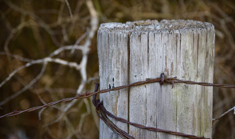 כיצד Gmail for Work יכול לעזור לעסק שלך לצמוח