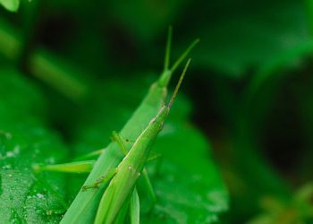 הישאר מחובר ושתף פעולה ביעילות עם דוא"ל עסקי של Gmail