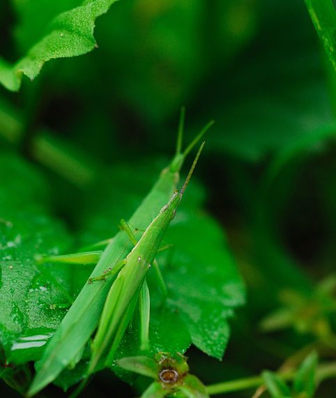 הישאר מחובר ושתף פעולה ביעילות עם דוא"ל עסקי של Gmail