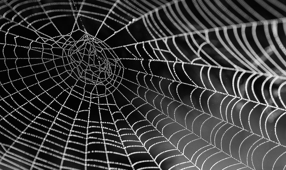 מדוע SiteGround היא הבחירה המובילה לאירוח לעסקים קטנים