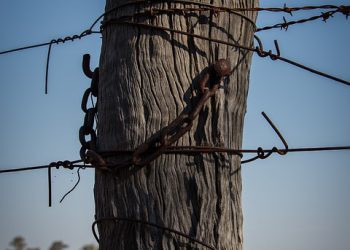 למה ג׳ימייל עסקי הוא הבחירה הטובה ביותר עבור עסקים קטנים