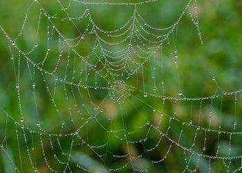סקירת Hostinger: האם זהו ספק האירוח התקציבי הטוב ביותר לשנת 2023?