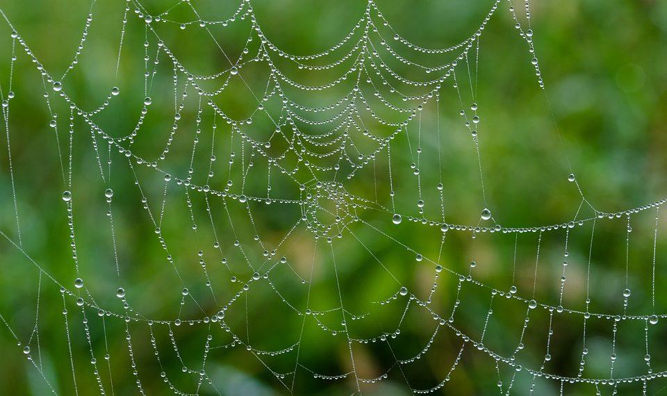 סקירת Hostinger: האם זהו ספק האירוח התקציבי הטוב ביותר לשנת 2023?