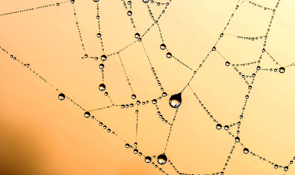 סקירת אירוח של InMotion: האם זו הבחירה הנכונה עבור האתר שלך?