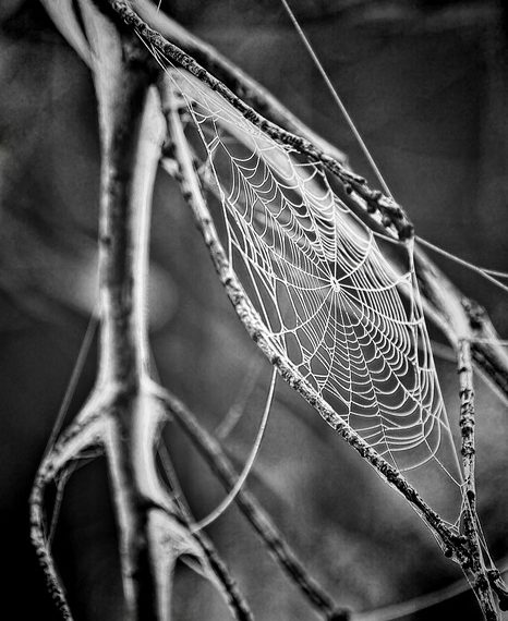 סקירת iPage: האם פלטפורמת אירוח זו שווה את ההשקעה שלך בשנת 2023?