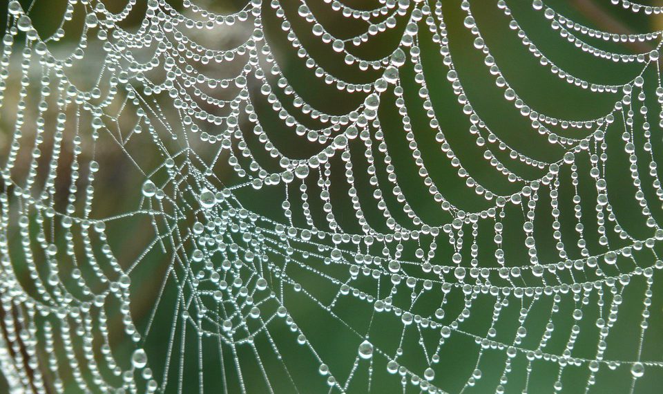 סקירת אירוח A2: האם זו הבחירה הנכונה עבור האתר שלך?