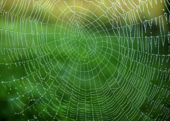 מה זה אירוח אתרים? כל מה שצריך לדעת על העבר, ההווה והעתיד