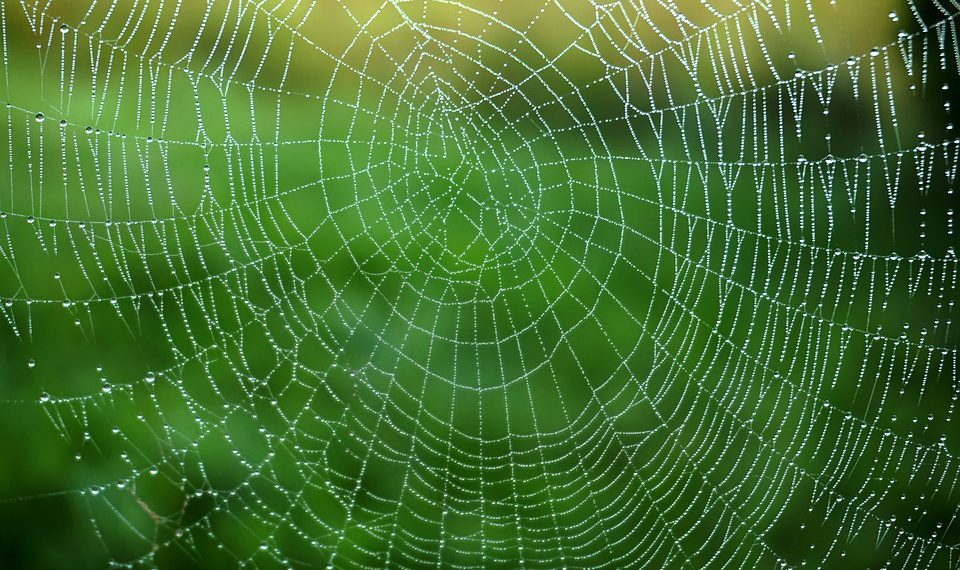 מה זה אירוח אתרים? כל מה שצריך לדעת על העבר, ההווה והעתיד