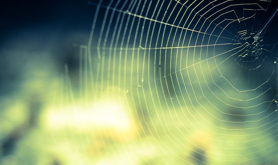 המלצה על ספקי אירוח אתרים: איך לבחור את הטוב ביותר לצרכים שלך?