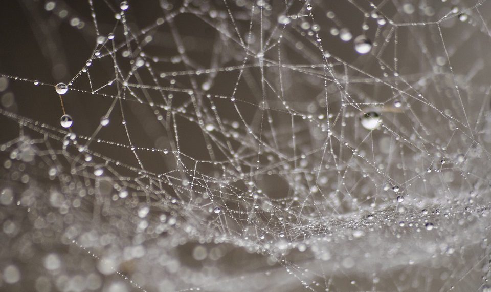 המדריך המלא לבחירת שירותי אחסון אתרים לאתרי מסחר: 5 גורמים שכדאי לקחת בחשבון