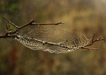 אירוח אתרים בענן: למה זה הזמן לעבור?
