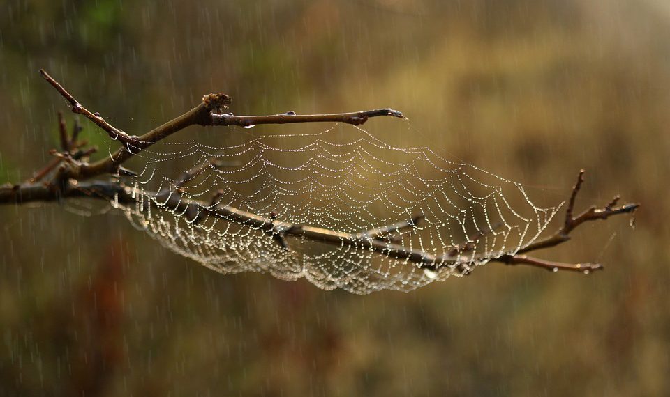 אירוח אתרים בענן: למה זה הזמן לעבור?
