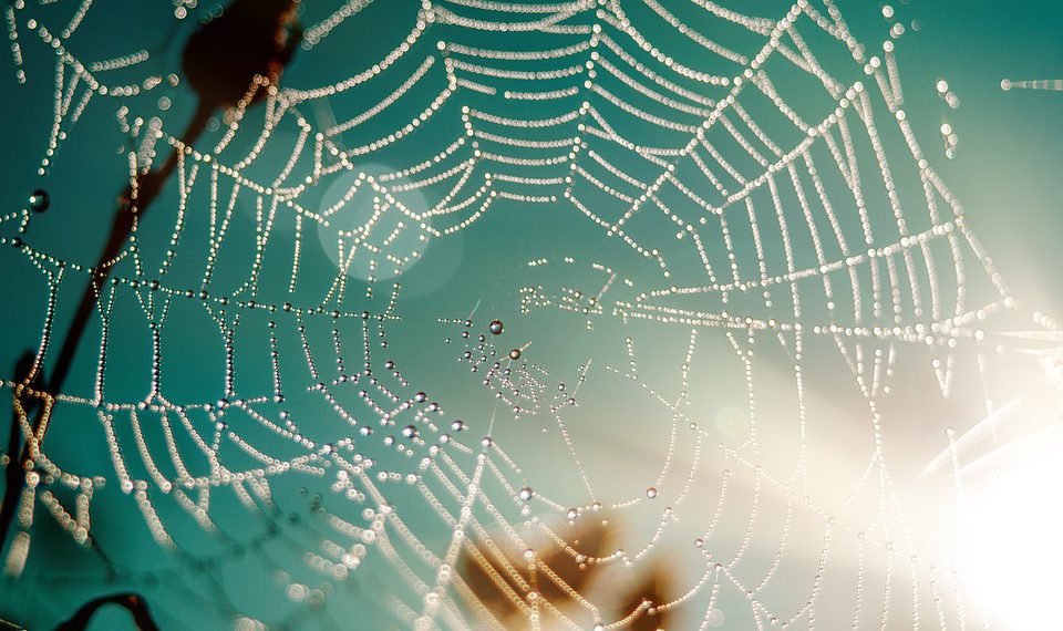 שחרור פוטנציאל: כיצד Bluehost מעצימה את הנוכחות המקוונת שלך