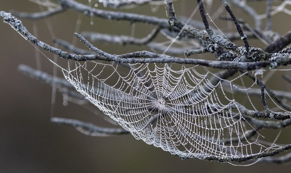 שחרור כוחו של אירוח בענן: מדריך מקיף ל-Cloudways