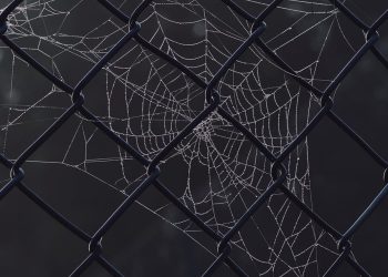 המדריך האולטימטיבי לבחירת אירוח אתרים: כך תמצאו את הפתרון המושלם לצרכים שלכם