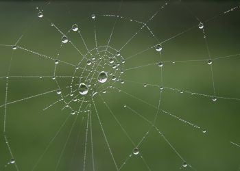 המדריך המלא לבחירת חבילת אירוח אתרים שמתאימה לך