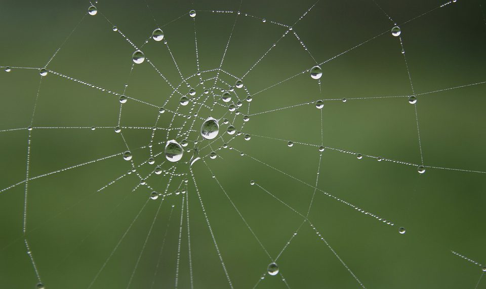 המדריך המלא לבחירת חבילת אירוח אתרים שמתאימה לך