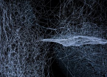 חברות אירוח מובילות בהשוואה: איזו מהן מתאימה לך?