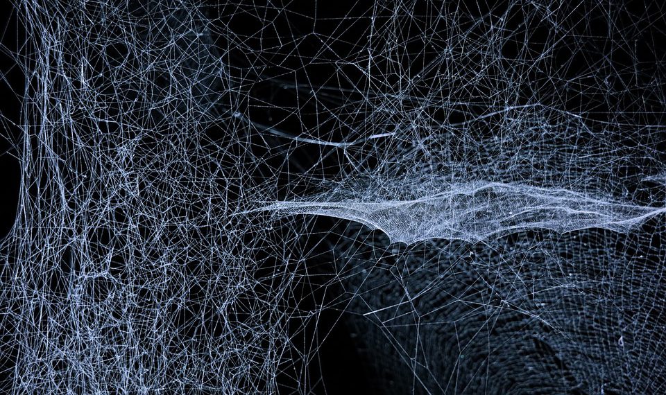 חברות אירוח מובילות בהשוואה: איזו מהן מתאימה לך?