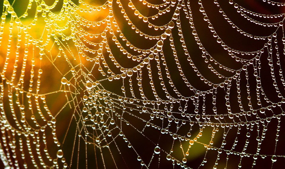 GoDaddy משחרר כלים חדשים ליזמים: מה שאתה צריך לדעת