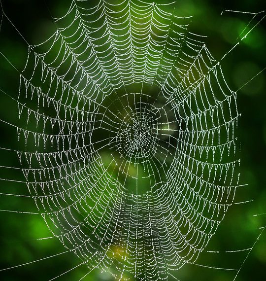 DreamHost: סקירה מקיפה של תכונות, תמחור וביצועים