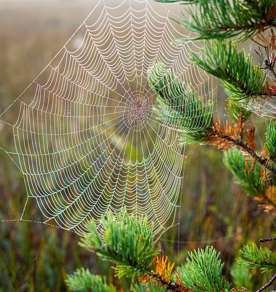 לא יודעים איך לבחור אירוח אתרים? 10 טיפים שיחסכו לכם זמן וכסף!
