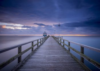 מרישום דומיין ועד אירוח אתרים: איך GoDaddy מוביל את התעשייה