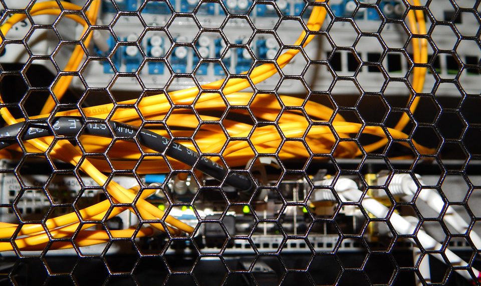 שדרגו את העסק שלכם: כך תבחרו את השרת הווירטואלי המושלם