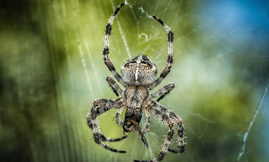 10 ספקי אירוח אתרים המומלצים לשנת 2023: סקירה מקיפה