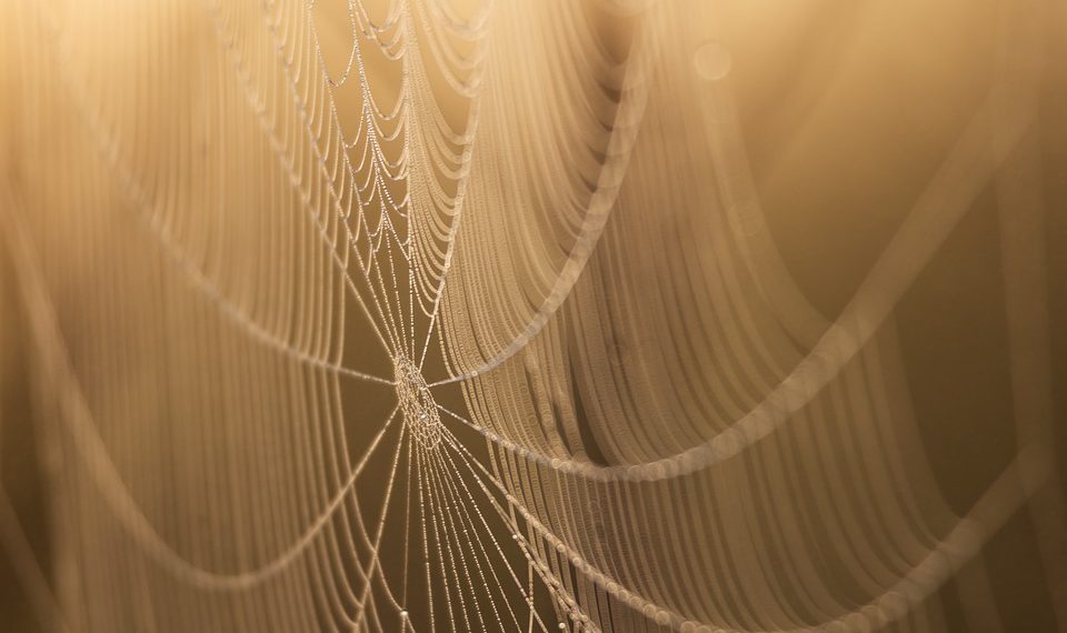 מהירות חשובה: כיצד מתכננת הטורבו של A2 Hosting מתגבשת מול התחרות