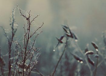 מדוע Cloudways היא הבחירה הטובה ביותר עבור מפתחים ועסקים בשנת 2023