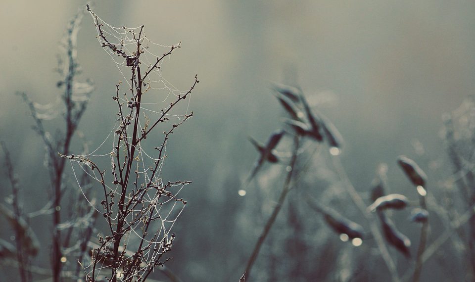 מדוע Cloudways היא הבחירה הטובה ביותר עבור מפתחים ועסקים בשנת 2023