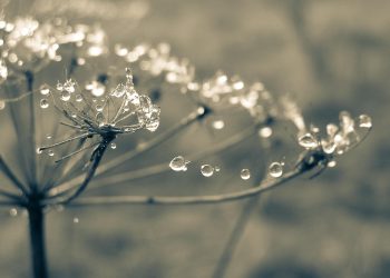 אבטחת אתרים: למה חשוב לבחור באירוח אתרים מאובטח?