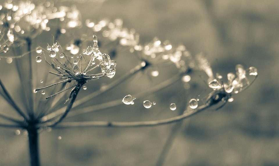 אבטחת אתרים: למה חשוב לבחור באירוח אתרים מאובטח?