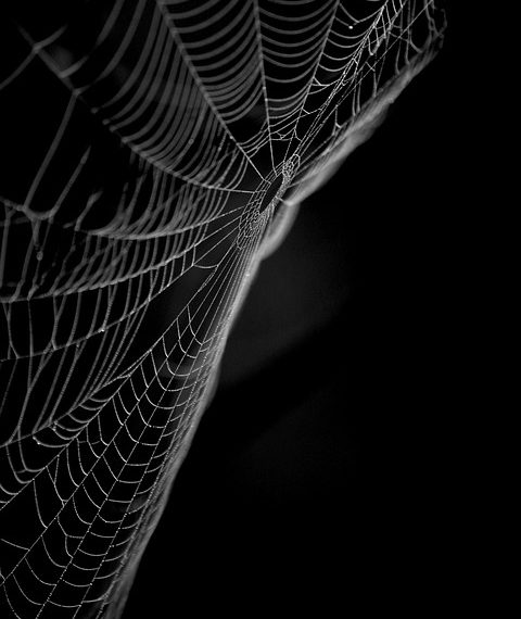 5 התכונות המובילות של iPage המבדילות אותו משירותי אירוח אתרים אחרים