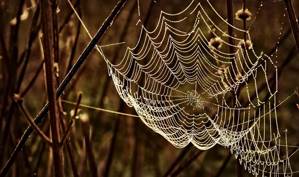 המדריך המלא לאירוח אתר האינטרנט שלך עם Hostinger: טיפים וטריקים