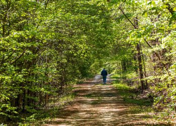 האם VPS אירוח שווה את ההשקעה? השוואה עם אירוח משותף