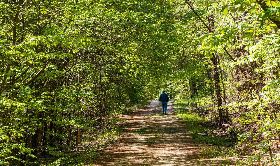 האם VPS אירוח שווה את ההשקעה? השוואה עם אירוח משותף