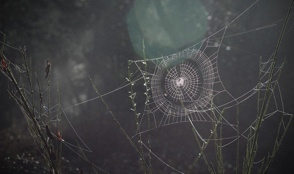 המדריך האולטימטיבי לאירוח אתרים ידידותי לתקציב: חסוך בגדול בלי להקריב איכות